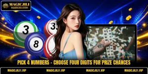 Pick 4 Numbers - Choose Four Digits For Prize Chances